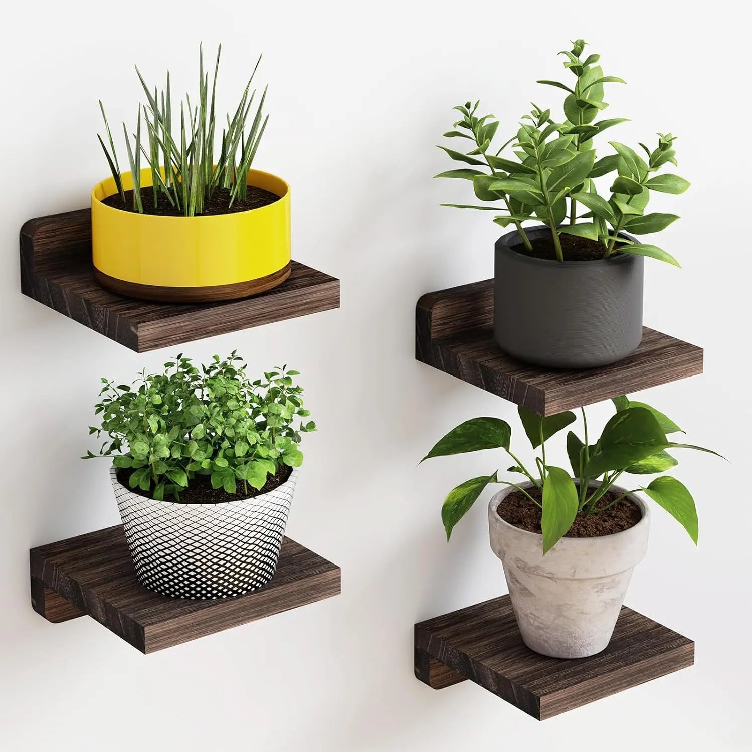 4-Pack Small Floating Wood Shelves for Wall – 5 Inch Display Ledges