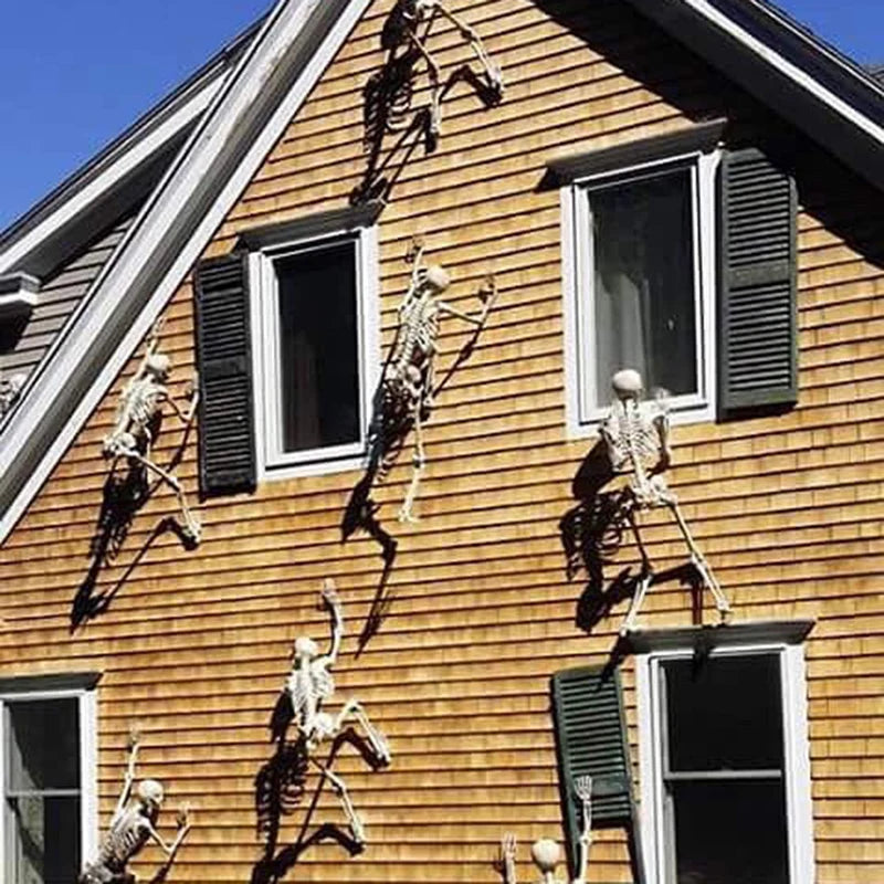 Halloween Skeleton Decorative Prop