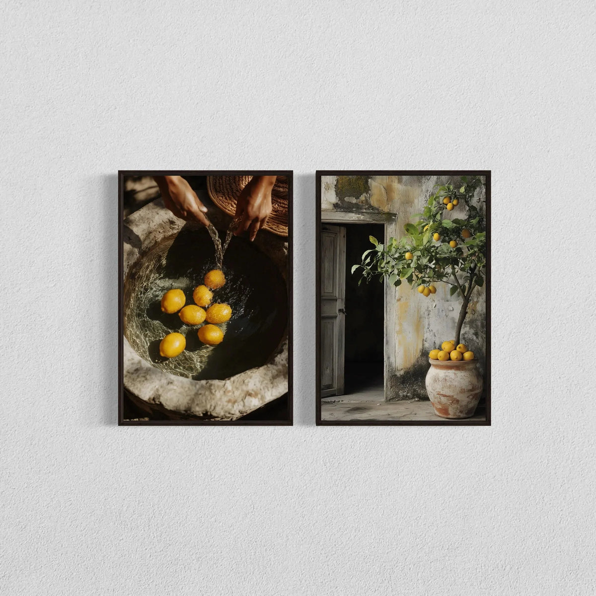 Botanical Canvas Wall Art – 2-Piece Set, Unframed Prints