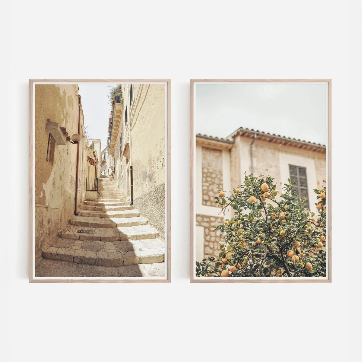 Botanical Canvas Wall Art – 2-Piece Set, Unframed Prints