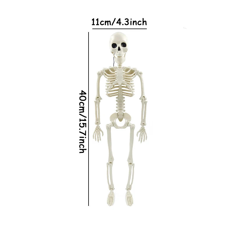 Halloween Skeleton Decorative Prop